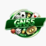 GN55 Game