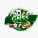 GN55 Game